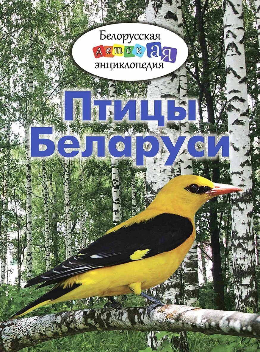 Птицы беларуси книги. Птицы беларуси книги. Птицы беларуси в картинках. Птицы беларуси книги. Птицы беларуси.