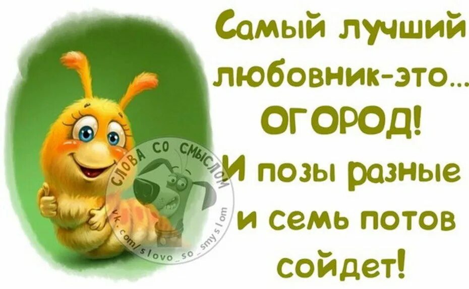 семь потов сошло