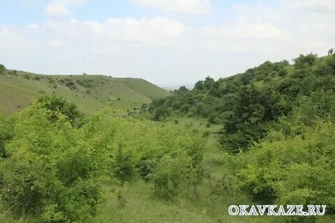 Омская область село александровское