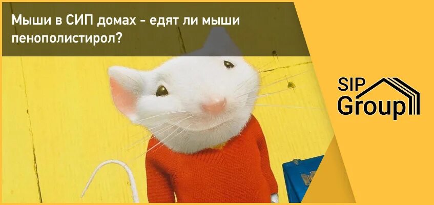 Мыши в сип панелях. Мыши в сип доме. мыши грызут сип панели. мыши в доме из сип панелей.