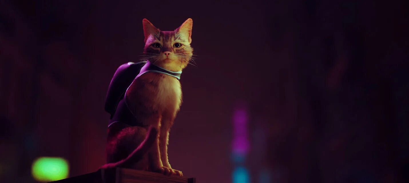 Когда выйдет кот 2. Кот в сапогах 2 последнее желание мультфильм. Кот в сапогах мультфильм 2022. Когда выйдет кот 2. Когда выйдет кот 2.