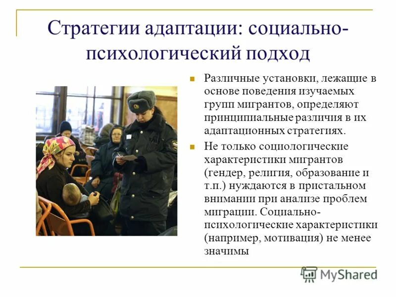 классификация видов адаптации. стратегия социальной адаптации это в психологии. стратегии социальной адаптации. пути адаптации мертон. стратегия социальной адаптации.