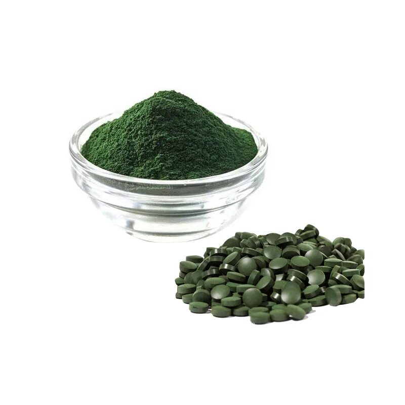 Arthrospira водоросли. Спирулина гималайская. Настоящая спирулина. Spirulina водоросль. Спирулина платенсис.