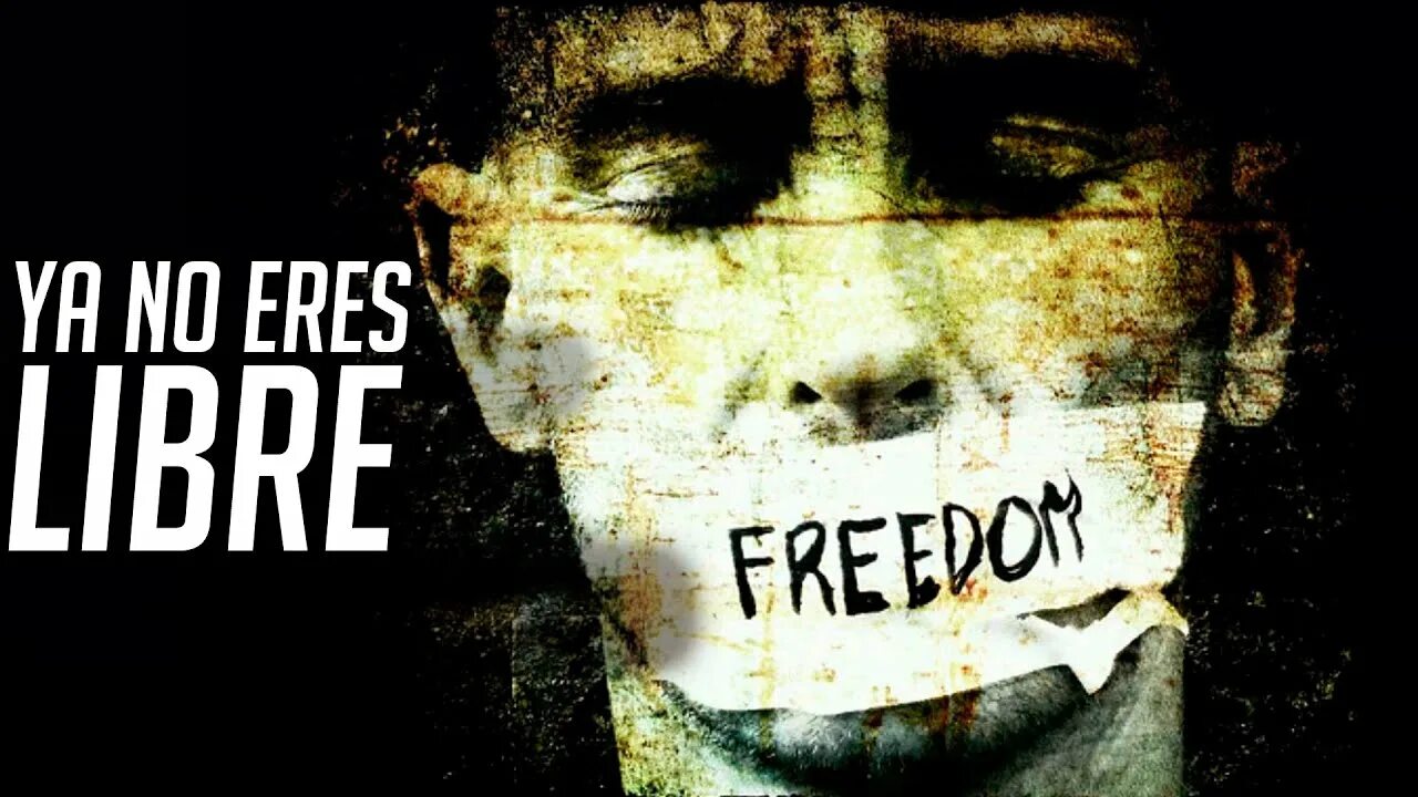 Quotation about freedom. Feel the freedom одежда. Quotation about freedom. Freedom to the people. Expression right.