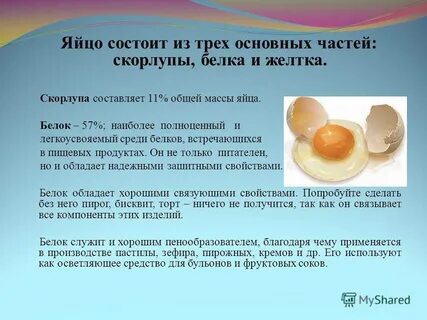 Где содержатся белки в яйце