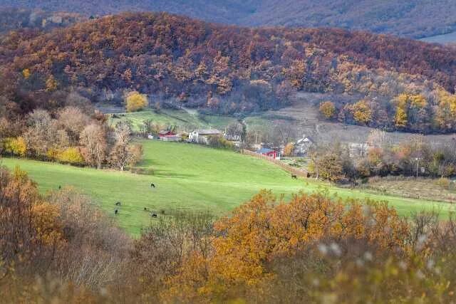 Плотинное бахчисарайский. Село аромат Крым Бахчисарайский район. Село Плотинное Бахчисарайский район. Зелёное (Бахчисарайский район). Плотинное Крым.