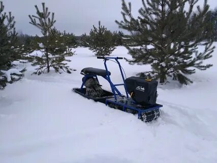 Мотособака в лесу