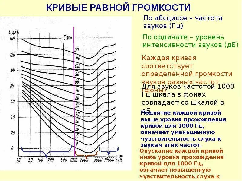 Кривая громкости. Кривые уровня громкости. Кривых равной громкости. Кривая равной громкости. Зависимость частоты звука