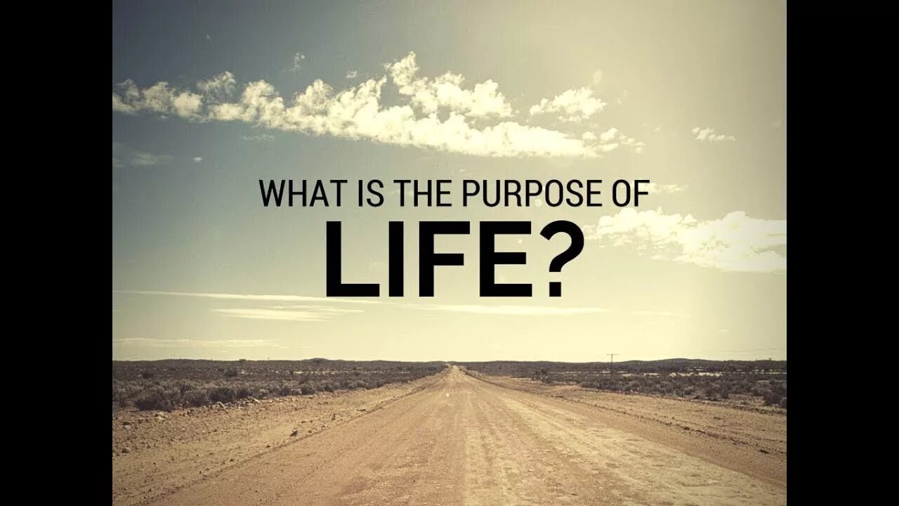 Purpose of life is. Life purpose. What is the purpose of Life. Purpose in Life. My purpose in Life.