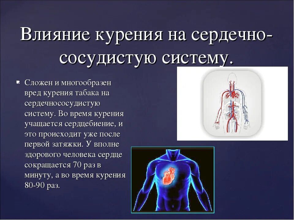 А также сердечными и сосудистыми