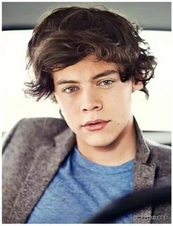 Styles 01