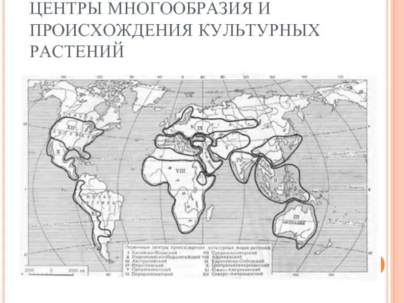 Центры многообразия вавилова. Контурная карта центры происхождения культурных растений ( Вавилов). Первичные центры происхождения культурных растений. 7 Центров происхождения культурных растений по Вавилову карта.