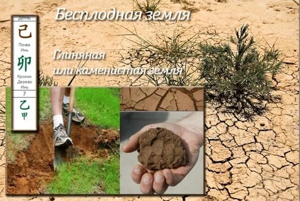 Земля инь иероглиф. Китайская метафизика ба-цзы. Карты иероглифы бацзы. Земля инь на козе. Иньская земля.