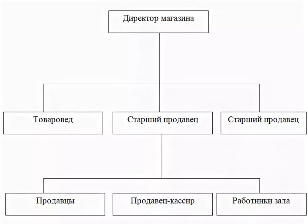 Организация учета товаров в торговой организации. Структура управления магазина магнит схема. Организационная структура предприятия магнит схема. Организационная структура предприятия магнит Косметик. Организационная структура управления магазина «магнит Косметик».