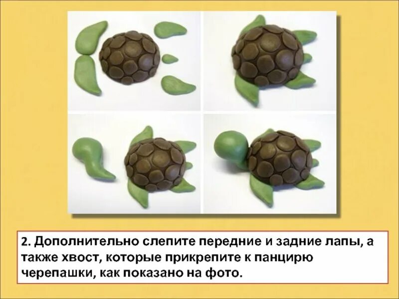 Лепим из пластилина презентация. Поэтапная лепка черепахи. Поэтапная лепка черепахи для детей. Схема лепки черепахи. Лепка из пластилина черепаха пошаговый.