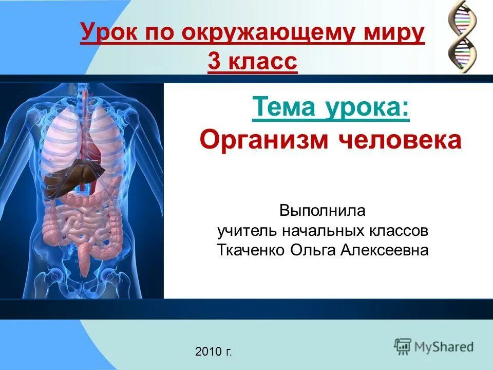 тела вещества частицы 3 класс окружающий мир. что такое тело в окружающем мире 3 класс. великий круговорот жизни 3 класс окружающий мир. великий круговорот жизни. проект музей путешествий третий класс.