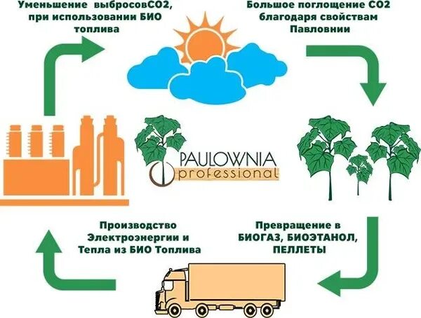 Использование отходов в качестве топлива. Производство биотоплива схема. схема производства биоэтанола. биотопливо источник энергии. биодизель схема.