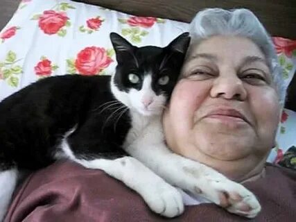 Kitty mommy