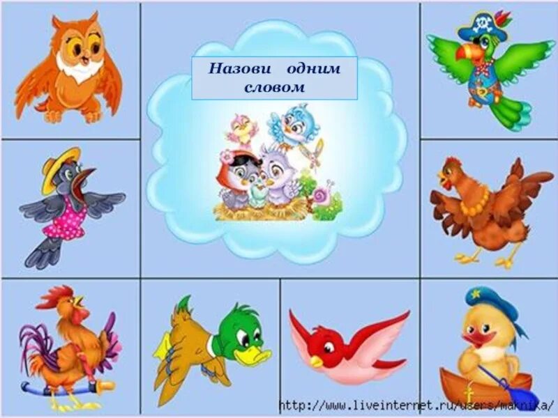 Слоги для чтения карточки. Сложи картинку. Разрезные картинки птицы. Птицы. Пазл собери птицу.