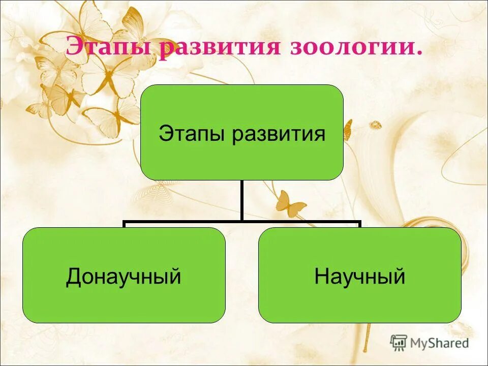таблица с характеристикой основных этапов развития зоологии. этапы развития зоологии. основные этапы развития зоологии таблица 7. этапы зоологии. отличия натуралиста и эколога.