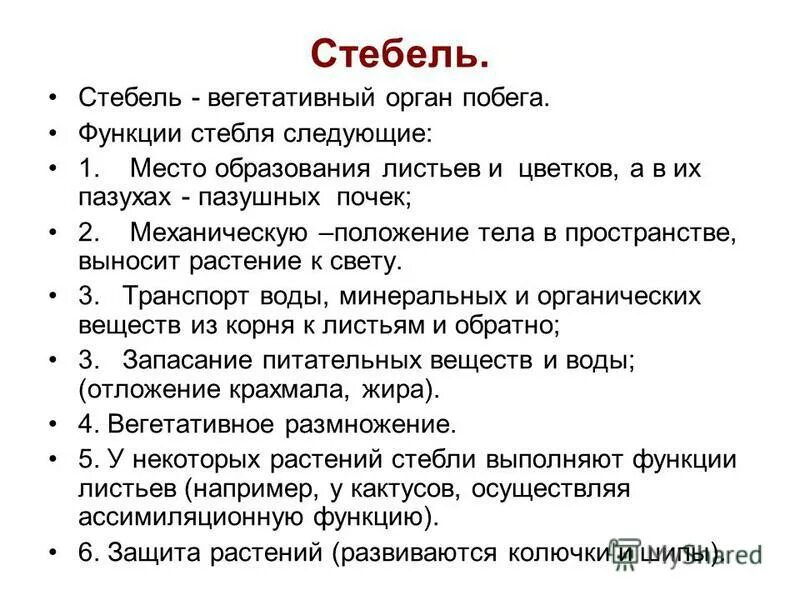 Стебель функции. Перечислите функции стебля 6 класс. Перечислите функции стебля растения. Перечислите основные функции стебля. Функции стебля биология 5 класс.