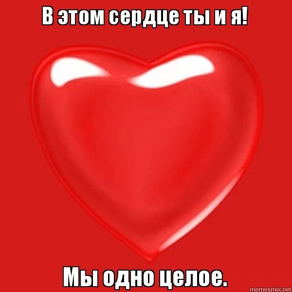 только ты в моем сердце. люблю всем сердцем. каждом русском сердце ты моя. мое сердечко. я тебя люблю.