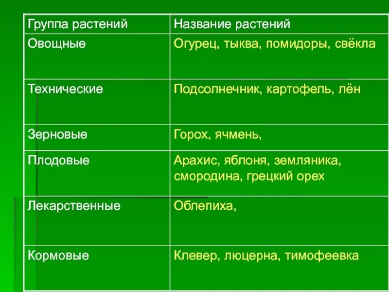 Название группа растений где выращивают. Группы культурных растений. Культурные растения. Группы растений. Полезные культурные растения.