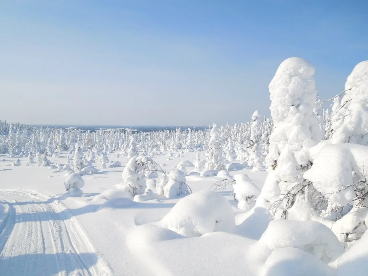 В каких городах россии теплые зимы. Национальный парк Паанаярви зимой. Парк Паанаярви Карелия зимой. Карелия понаярови зима. Снежная Карелия.