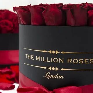 Million roses