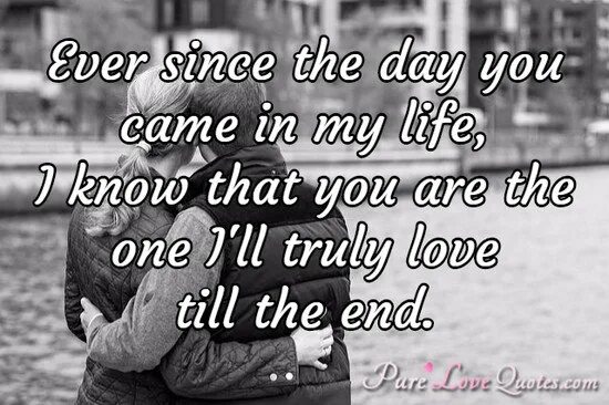 The day i end my life. The Love of my Life. The end my Life. I will Love you till the end of time надпись обои. My Life is Brilliant my Love is Pure текст.