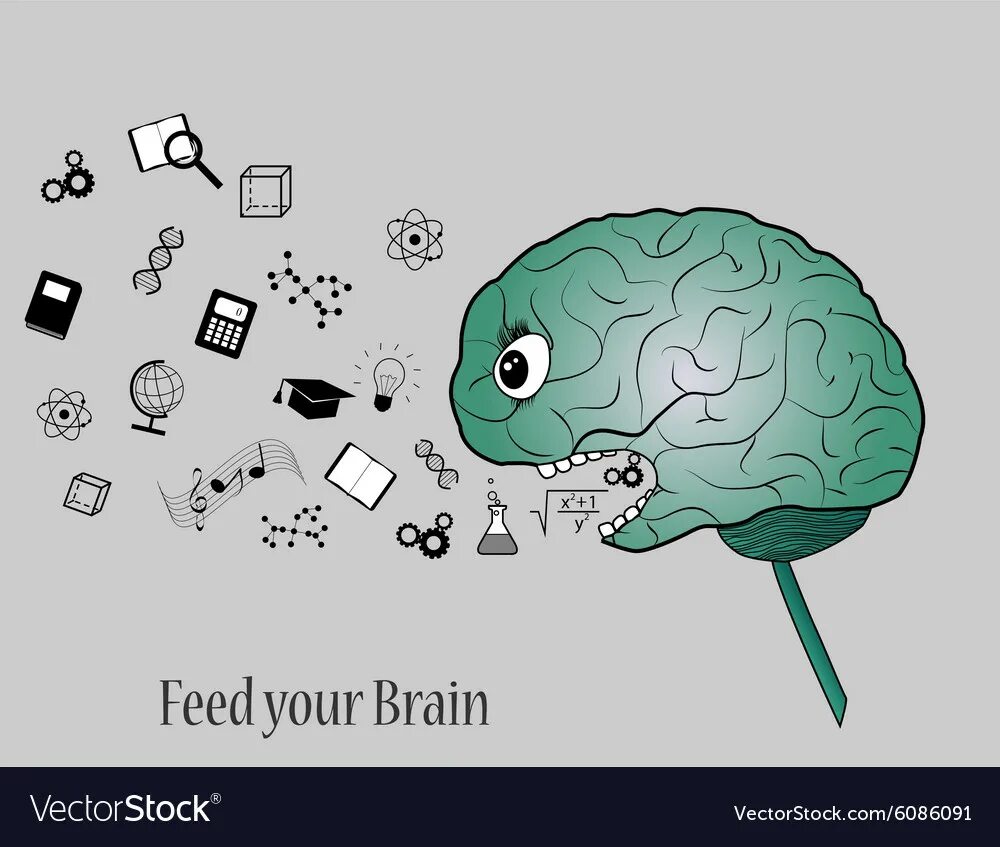 Тревожный мозг читать. Мозг векторное изображение. Тревожный мозг. Накорми свой мозг. Тревога мозг.