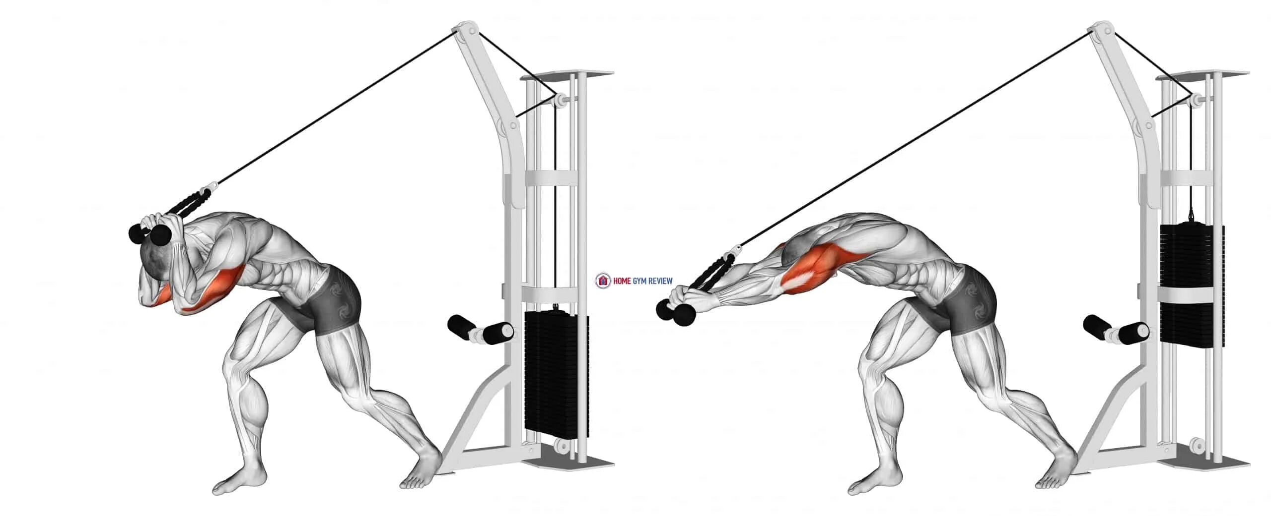 Кроссовер верхняя тяга. Cable overhead Triceps Extension. Верхний блок тренажер трицепс. Тренажер на трицепс у блока. Тяга верхнего блока на трицепс.