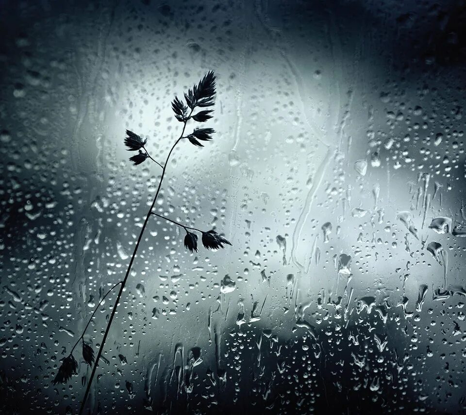 запотевшее стекло. следы дождя слушать. следы дождя слушать. следы дождя слушать.