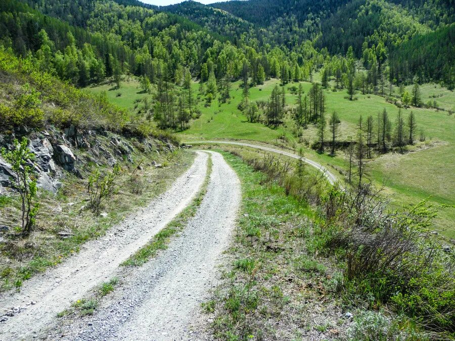 Село черга горный алтай. Черга. Село черга горный алтай. Черга. Черга.