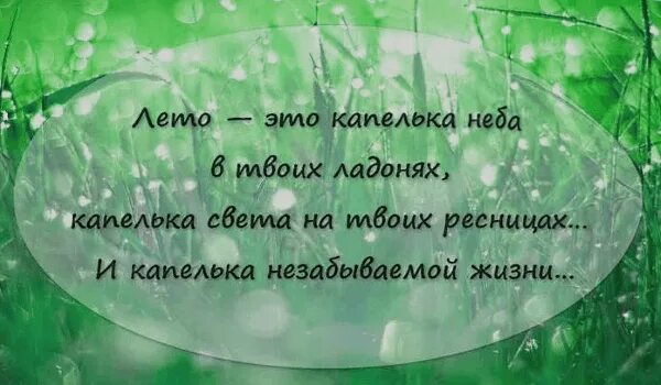 Цитаты лета со смыслом. Цитаты про лето. Цитаты о лете. Цитаты про лето короткие. Афоризмы о лете красивые.