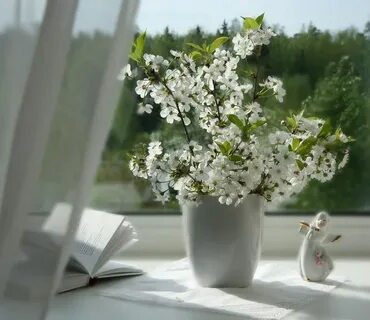 Весеннее утро дня картинки