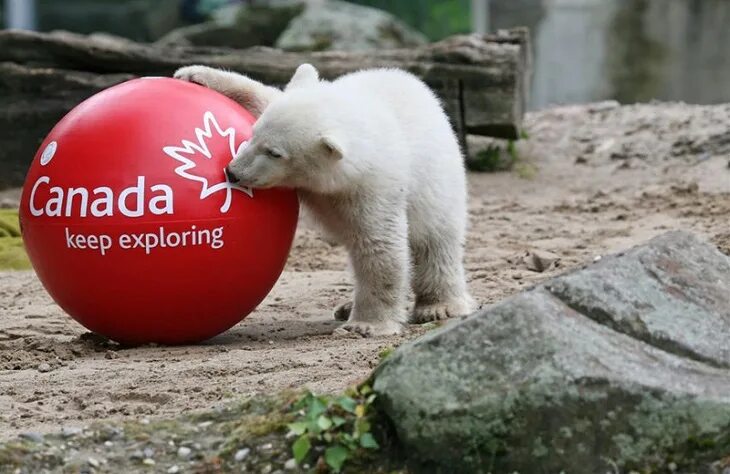 Astronaut head. Keep exploring. Флаг исследователей. Astronaut head. Adventures flag.