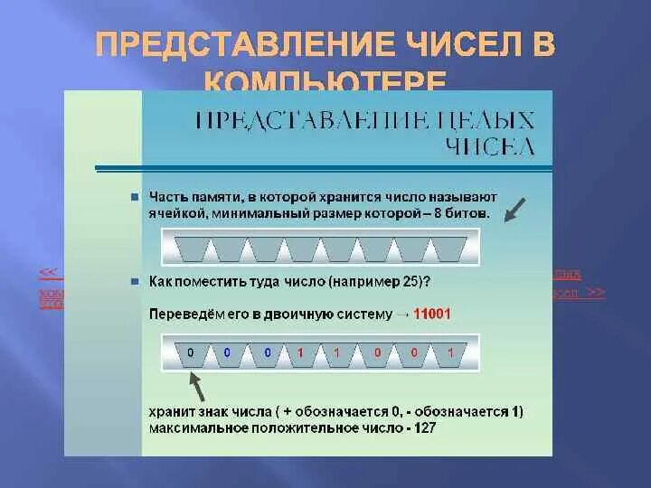 Представление чисел в памяти. Хранение чисел в памяти компьютера. Представление чисел в памяти компьютера. Целые числа в памяти компьютера. Памяти компьютера представление информации