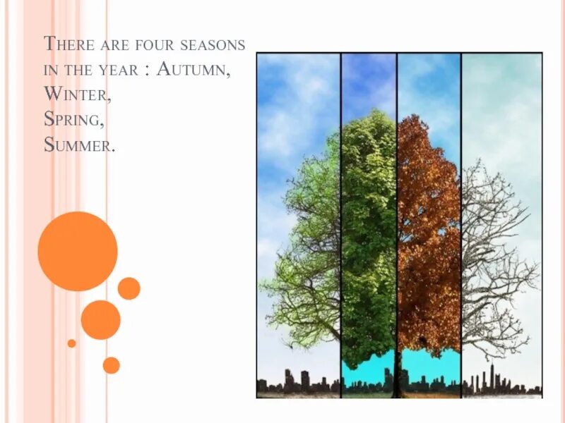 There are four seasons. Four Seasons in one Day. The nam Hai схема four Seasons. Time for all Seasons 9 Gathering Acorns.