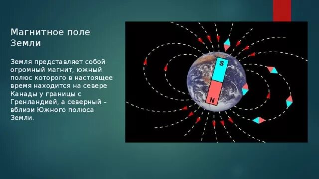 Магнит в магнитном поле земли. Магнит поле земли. Магнитные линии земли. Магнитное поле земли тест