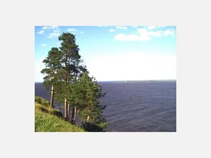 Погода аристиха юрьевецкий на месяц