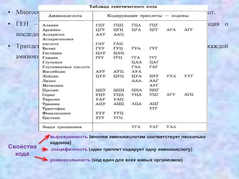 Сколько аминокислот в триплете. Таблица кода аминокислот. таблица аминокислот и триплетов. таблица кодонов аминокислот. аминокислоты таблица генетического кода.