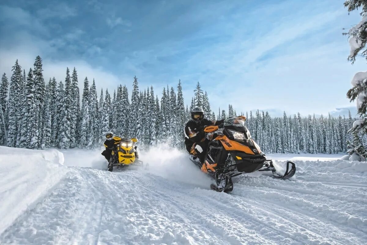 Snowmobile ru снегоходный. Снегоход. Снегоход в лесу. Катание на снегоходе. Снегоход зима.