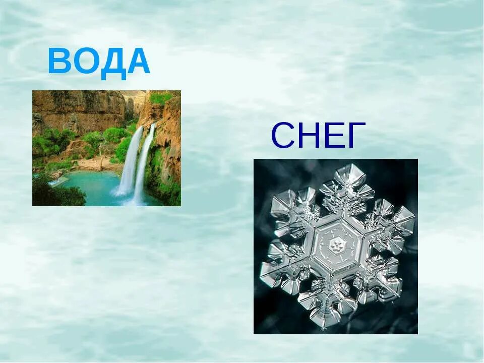 окружающий мир 1 класс лед