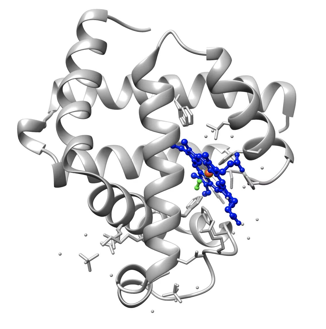 Миоглобин строение белка. Миоглобин структура белка. Альфа спирали миоглобина. Третичная структура миоглобина.