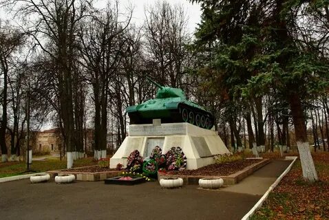 Город медынь
