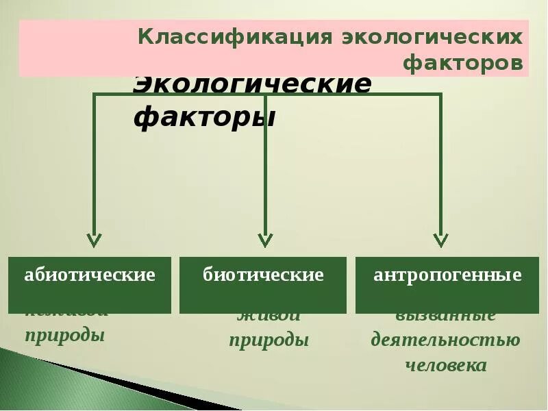 Перечислите биотические и антропогенные факторы. Абиотические и биотические экологические факторы. Биотические экологические факторы. Факторы среды абиотические биотические антропогенные. Экологические факторы абиотические биотические антропогенные.