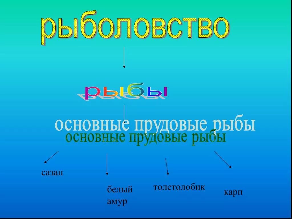 Рыболовство окружающий мир 4 класс. Рыболовство презентация. отрасли рыболовства. рыболовство окружающий мир 3 класс. проекта о рыболовстве как важной отрасли хозяйства.