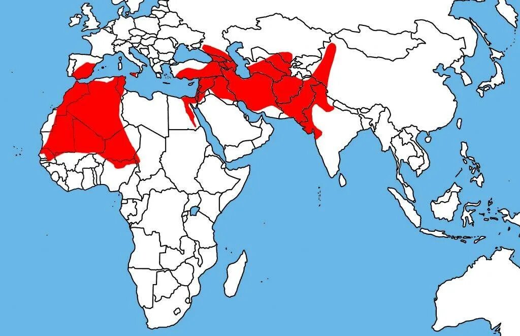 Широкий ареал. Пелядь ареал. Ареал индийский дикобраз. Корюшка ареал. Ареал обитания корюшки на карте россии.