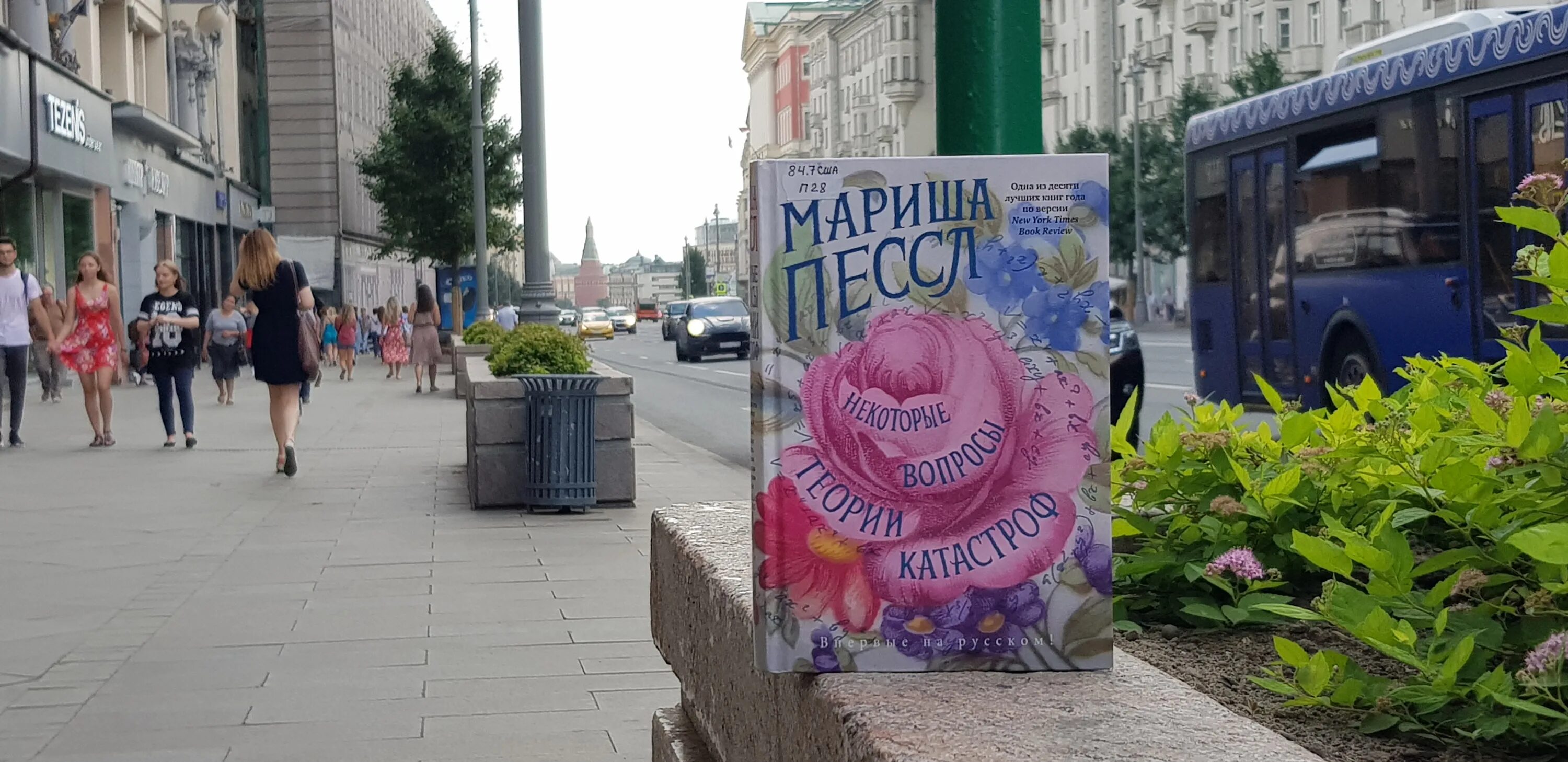 Пессл некоторые вопросы теории катастроф. Некоторые вопросы теории катастроф.